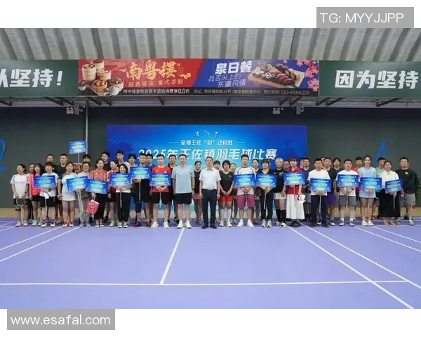 成都羽毛球队挑战赛背后的拼搏故事与奋斗精神全景揭秘