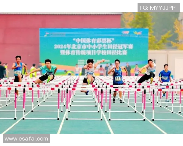 杭州乒乓球队的崛起之路与大满贯梦想的追逐历程