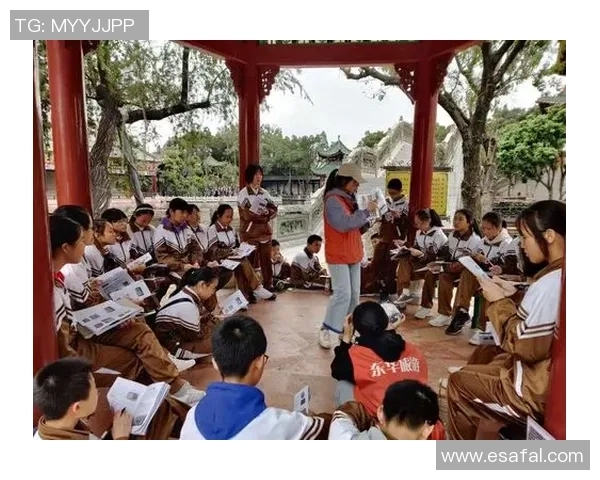 杨强独家解析足球战术与技巧分享我的心得与经验之旅