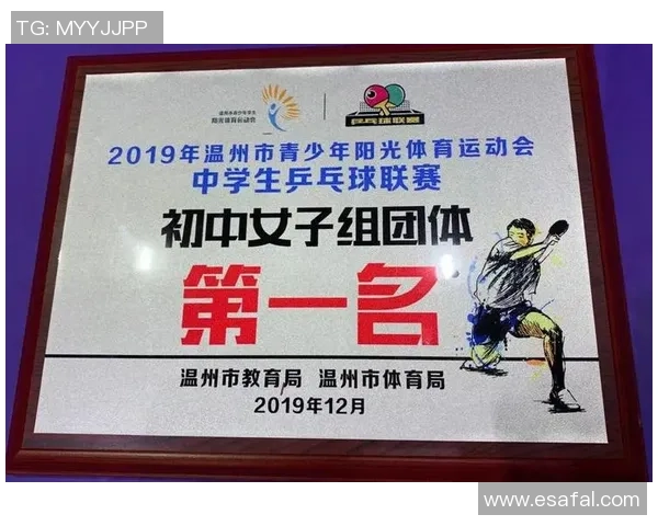 杭州乒乓球队团队协作的成功经验与挑战分析