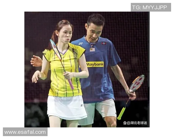 武汉羽毛球队与北京羽毛球队技术对抗赛后分析与总结